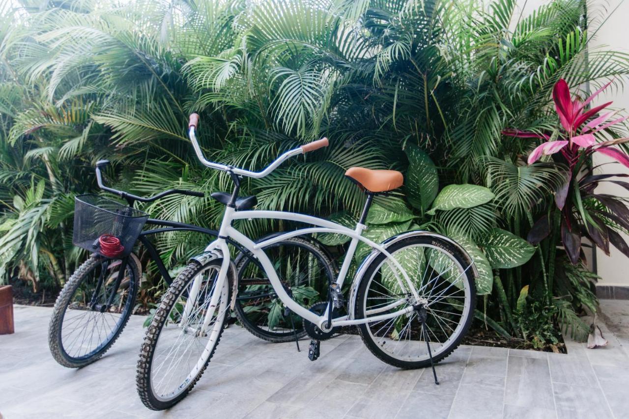 Luxury 2BR Condo w Private Jacuzzi, Fast Wifi, AC Tulum Zewnętrze zdjęcie